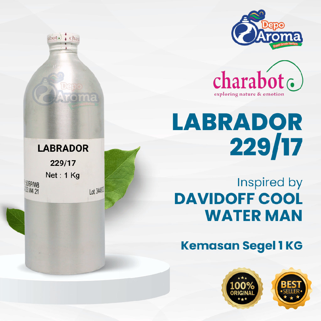Labrador 229/17