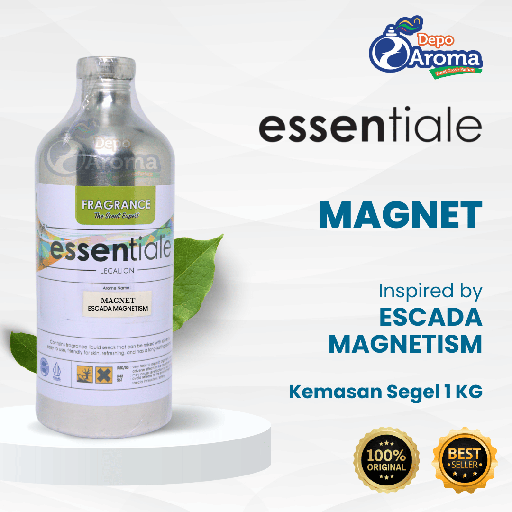 [INA0065] Magnet